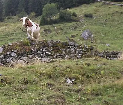 Zajazd Labalm Kirchberg in Tirol